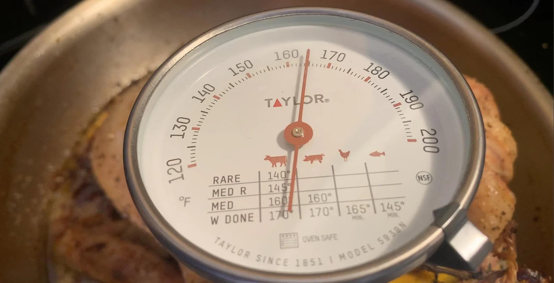 Taylor meat thermometer inserted in roasted chicken showing 165°F doneness temperature.