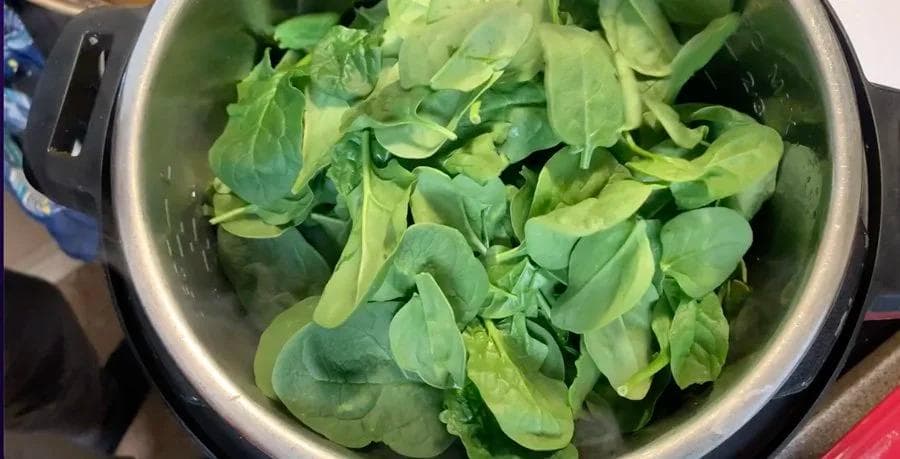 Fresh spinach and water mixed in an open Instant Pot before pressure cooking for palak paneer.