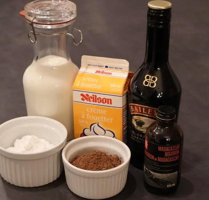 Ingredients for Baileys hot chocolate: milk, whipping cream, cocoa powder, whipped cream, and Baileys and Madagascar bourbon liqueurs.