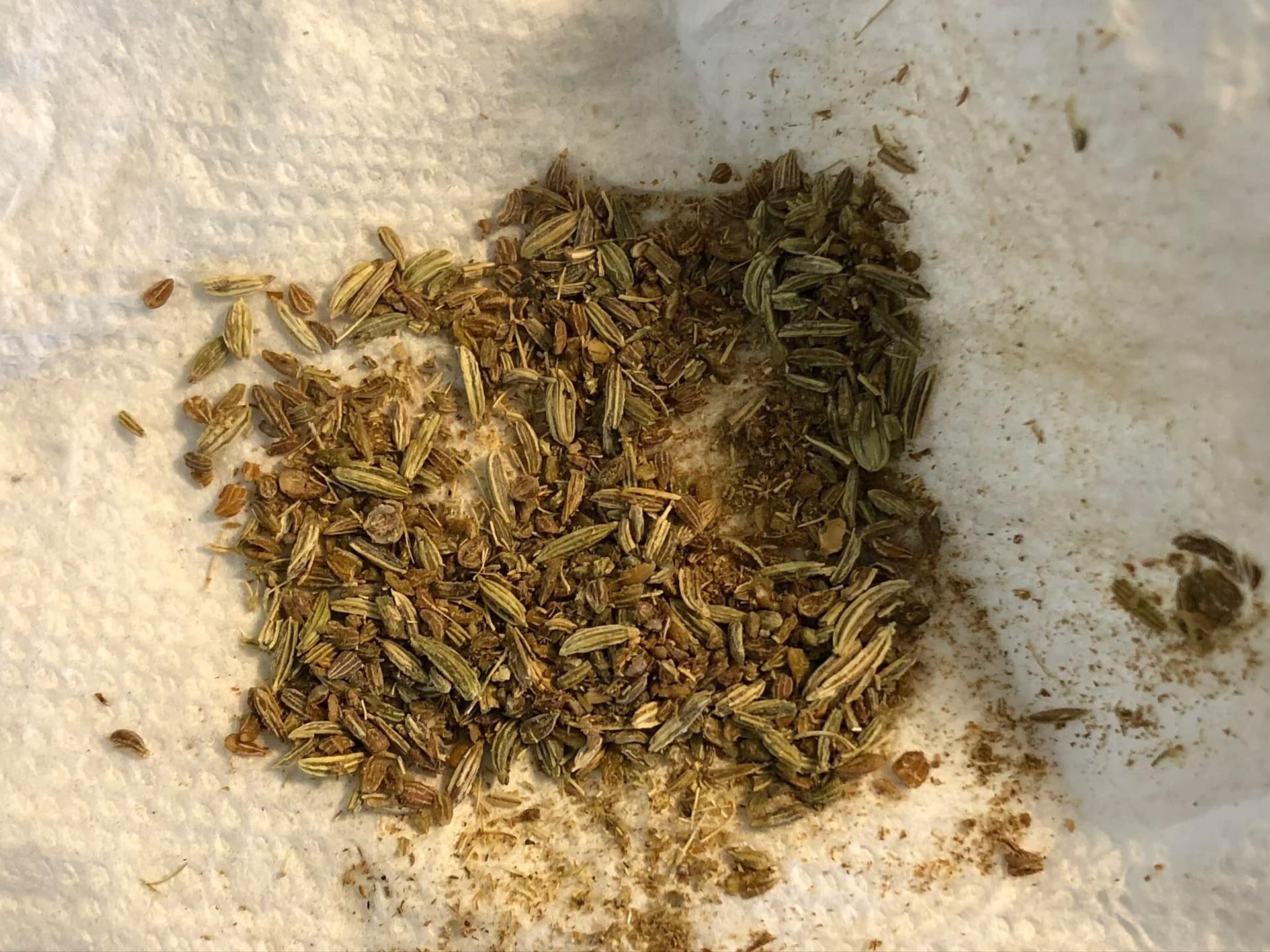Crushed fennel seeds and spices on a paper towel, coarsely ground with a rolling pin.