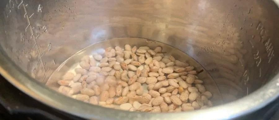Soaked pinto beans in an Instant Pot before pressure cooking.