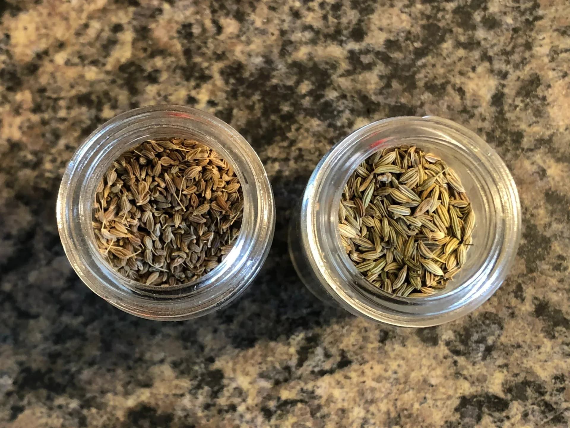 Fennel seeds and anise seeds in separate glass bowls before crushing for spicy Italian sausage.