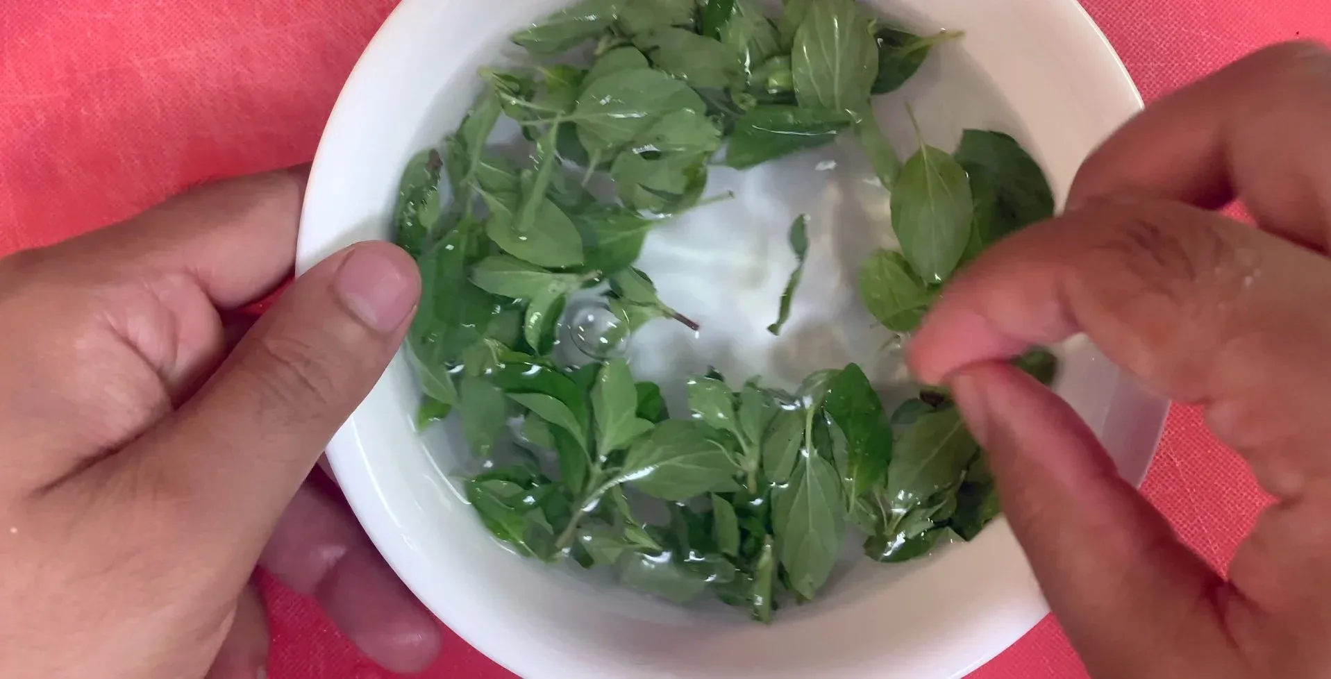 Fresh oregano leaves rinsed and patted dry in a white bowl.
