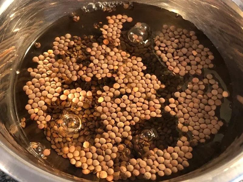 Brown lentils soaking in water in an Instant Pot with visible bubbles rising from the liquid.