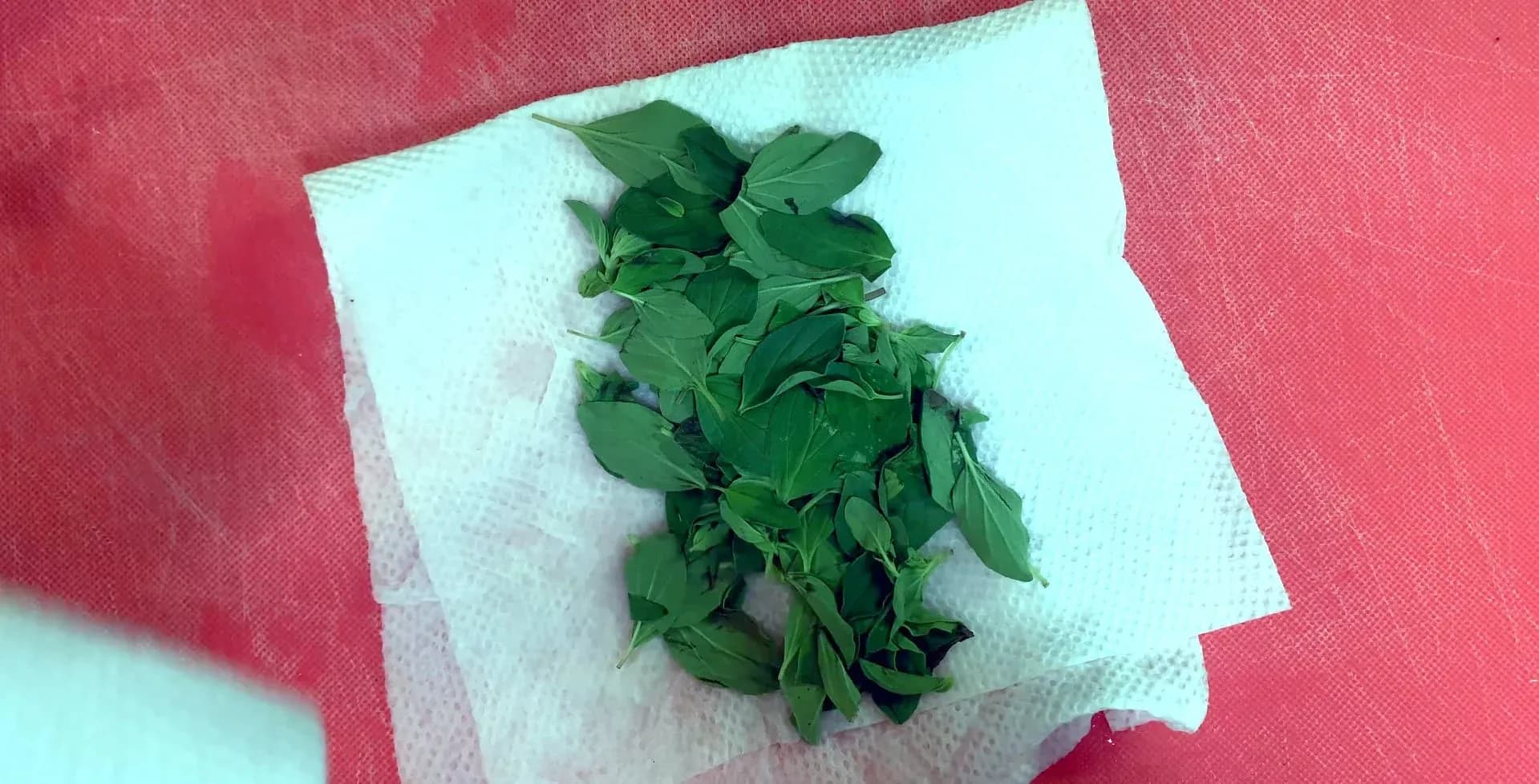 Fresh oregano leaves patted dry on a white paper towel against a pink background.