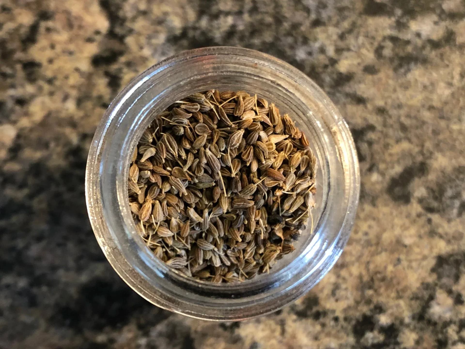 Whole fennel and anise seeds in a small glass bowl on a granite countertop.