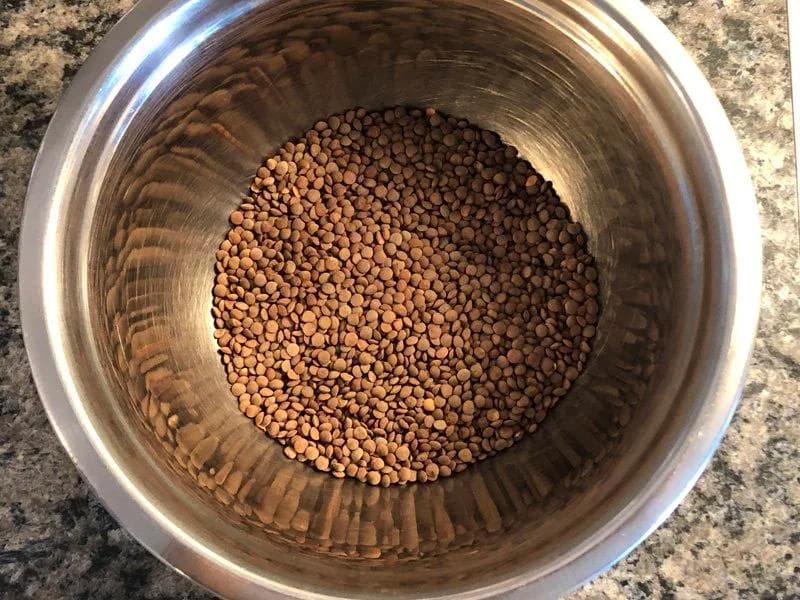 Soaked brown lentils in a stainless steel pot, ready for cooking in the Instant Pot.