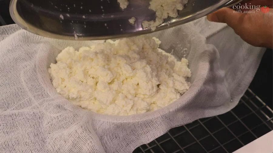 Freshly drained paneer curds being transferred onto cheesecloth in a colander.